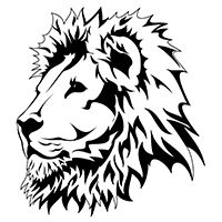 Lion 222